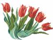 Brassée de tulipes rouges broderie point de croix Monique Bonnin