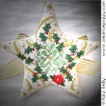 Etoile de Noël - grille point de croix - création Faby Reilly (zoom 2)