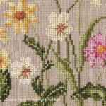 Fleurs des champs - grille point de croix - création Marie-Anne Réthoret-Mélin (zoom 2)