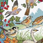 Lesley Teare - oiseaux en hiver, zoom 3 (grille de broderie point de croix)