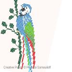 Perrette Samouiloff - Perroquets, zoom 2 (grille de broderie point de croix)